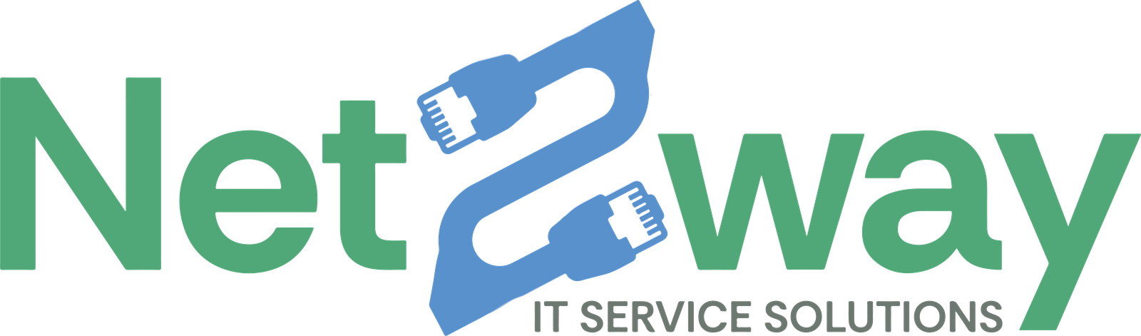 Netzway IT Service Solutions LLP Logo